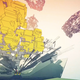 Manifold Garden.